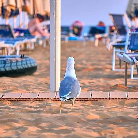 Hotel Warm Flat 100m From The With Ac - Beahost Bibione